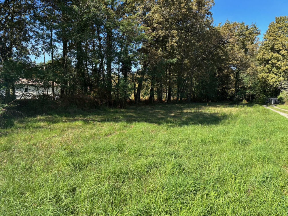 Terrains � batir   Saint-Sauveur (33250)