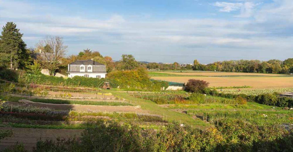 Appartements neufs   Le Mesnil-le-Roi (78600)