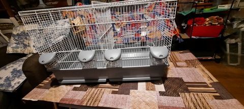 GRANDE CAGE COMME NEUVE !
&agrave; prendre sur Thiais ! 46 94320 Thiais