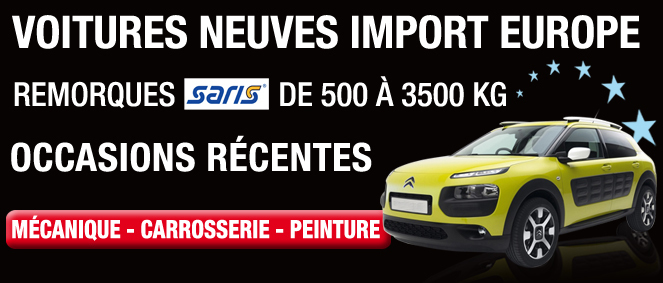 SERIEYS ET FILS GCE SERIYS & FILS, concessionnaire 81