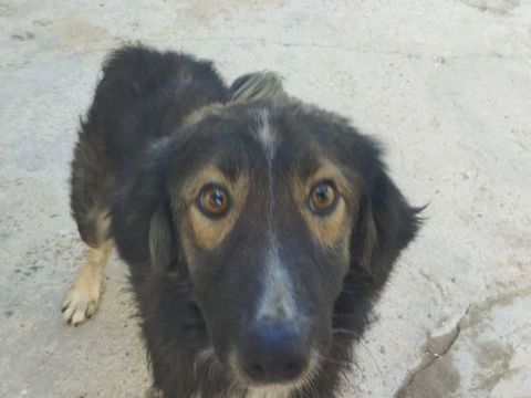 ILDE🩵   le prochain camion doit &ecirc;tre le sien ,  ne le laissez pas rester sur le quai du bonheur. 315 24140 Douville