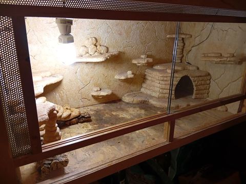 Terrarium 220 29400 Guimiliau