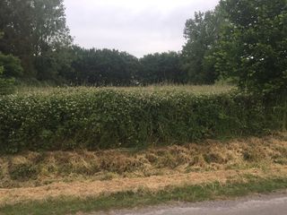  Maison � vendre 2 pi�ces 82 m�