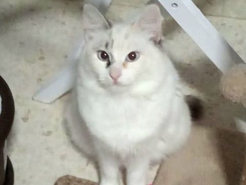 MARTINA 230 27620 Gasny