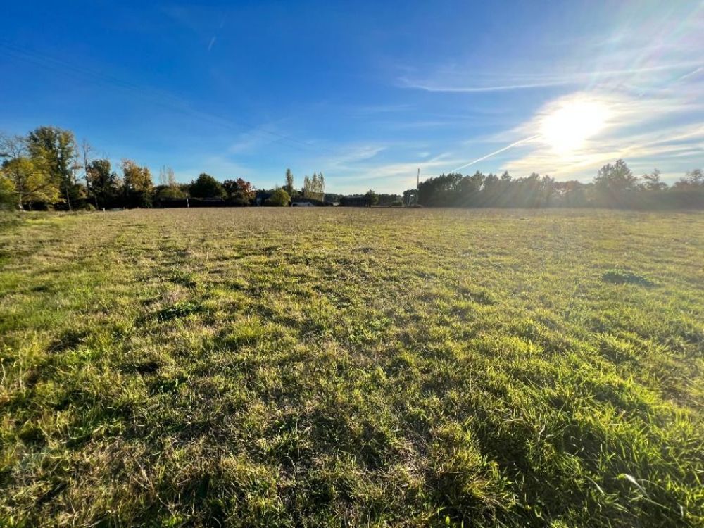 Maisons neuves   Grignols (33690)