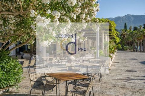 RESTAURANT, EMPLACEMENT IDEAL, A CEDER AU CENTRE D'ARLES 241120 13200 Arles