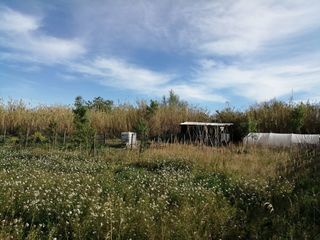  Terrain � louer 300 m�