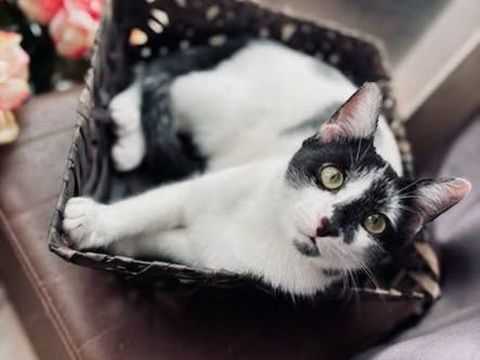 BUZ ET HARIBO 90 13140 Miramas