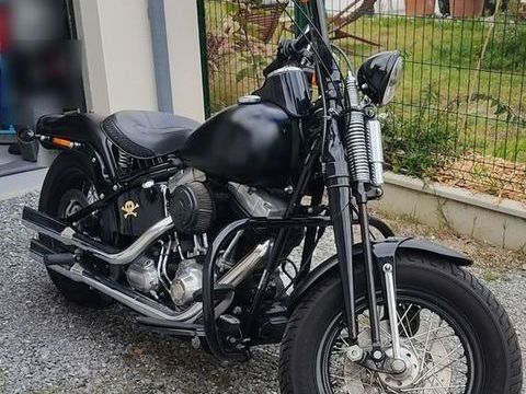 Moto HARLEY-DAVIDSON 2010 occasion Soustons 40140