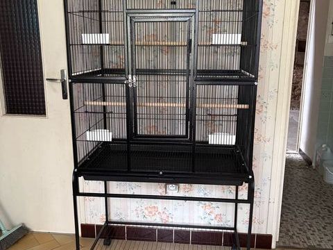Cage grandes perruches et petits perroquets 70 88170 Soncourt