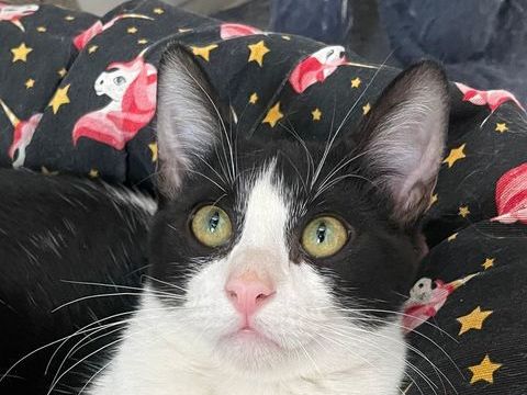 LEO 180 95610 �ragny