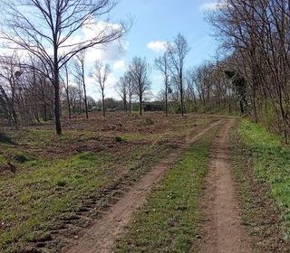  Terrain � vendre 4281 m�