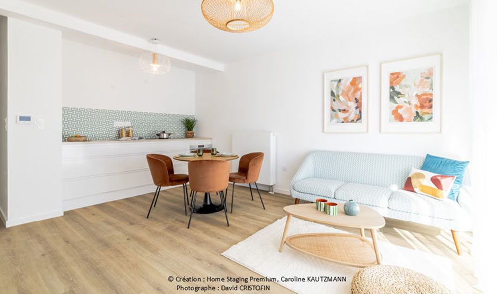 Appartements neufs   Nancy (54100)