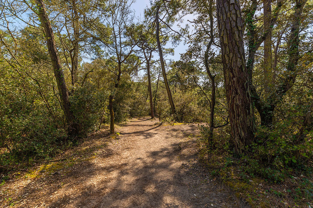   Saint-Jean-de-Monts (85160)