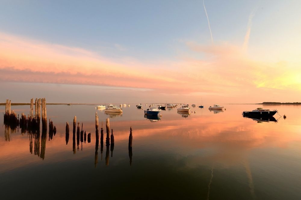 Appartements neufs   La Teste-de-Buch (33260)