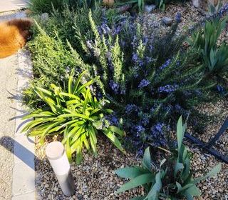  Maison � vendre 4 pi�ces 92 m�