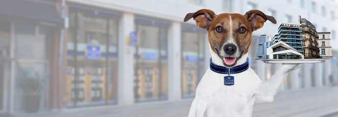 Agence CITYA VICTOR HUGO Toulouse