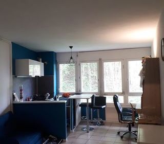  Appartement � louer 1 pi�ce 30 m�