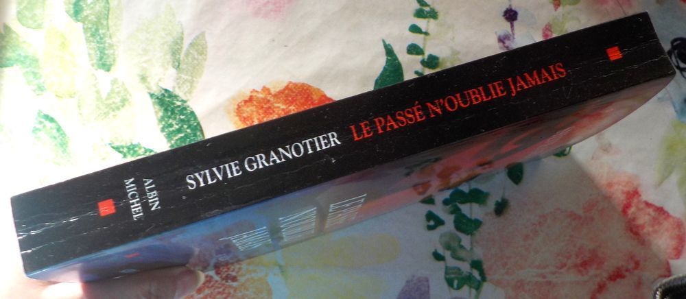 LE PASSE N'OUBLIE JAMAIS de Sylvie GRANOTIER Ed Albin Michel Livres et BD
