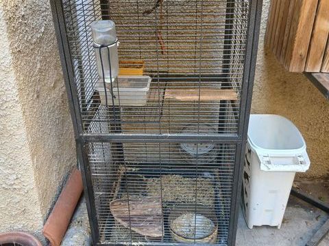 Cage colonne 60 31230 L'isle-en-dodon