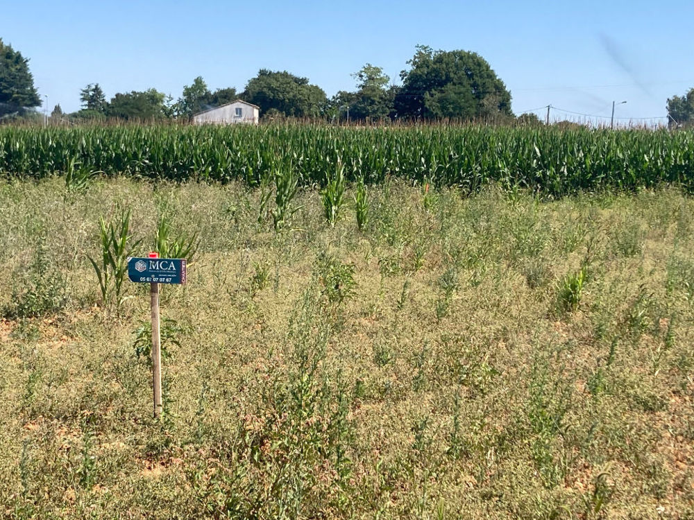 Maisons neuves   Balanzac (17600)