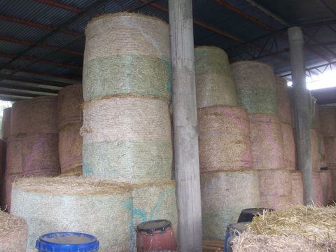 foin   balle   ronde 27 34200 S�te