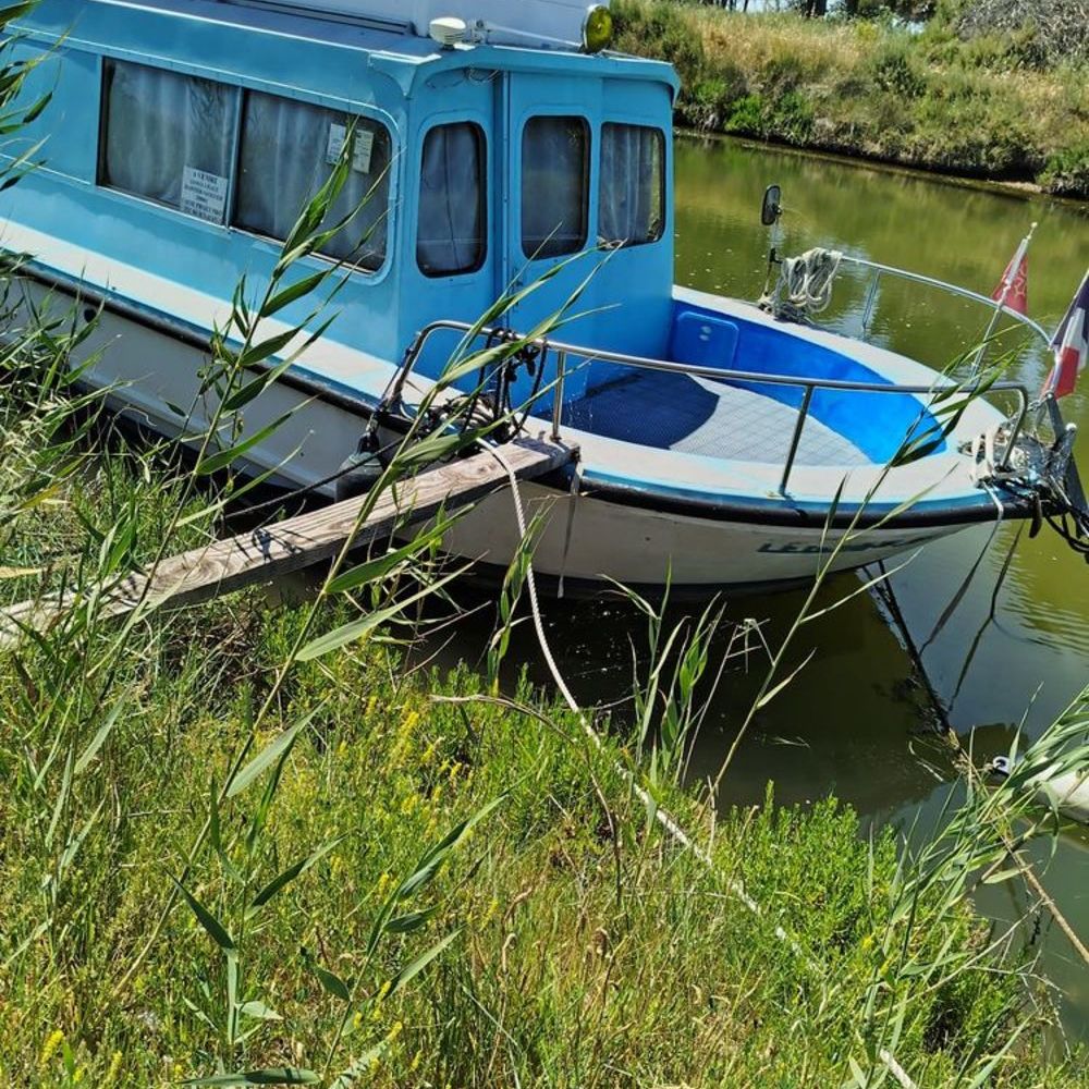 Bateau fluvial 1983 occasion 34340 Marseillan Plage