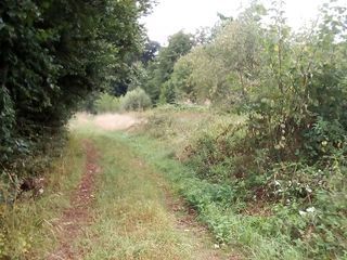  Terrain � vendre 1031 m�