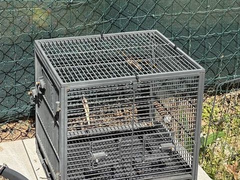 Cage &agrave; oiseaux. Occasion. 20 01290 Cormoranche-sur-sa�ne