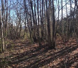  Terrain � vendre 14980 m�