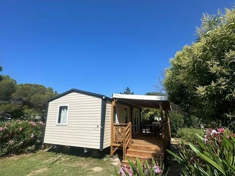 Mobil-Home Mobil-Home 2024 occasion Lattes 34970