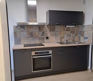  Appartement � louer 3 pi�ces 42 m�