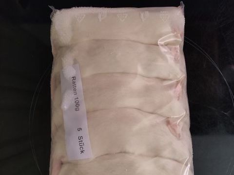 Rats congel&eacute;s (26 rats) 45 44290 Mass�rac