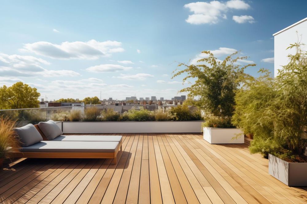 Appartements neufs   Montpellier (34000)