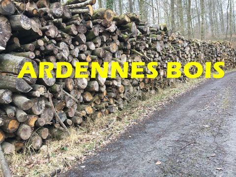Bois de chauffage en longueur de 2 m�tres-bois dur 68 Laon (02)