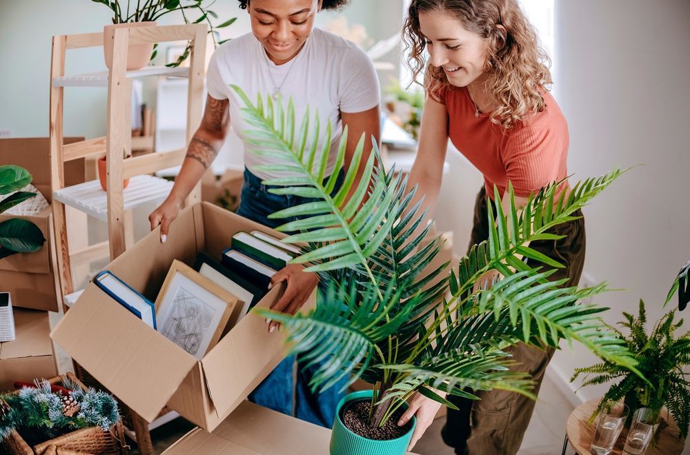 Appartements neufs   Cenon (33150)