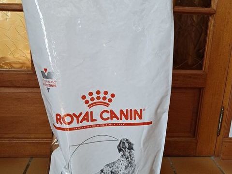 Sac de croquettes chien &agrave; donner 0 65100 Arcizac-ez-angles