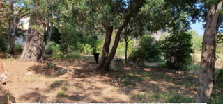  Terrain � vendre 737 m�