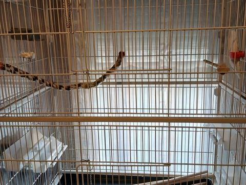 Cage voli&egrave;re 80 38360 Sassenage