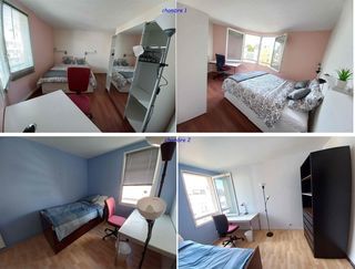  Appartement � louer 3 pi�ces 66 m�