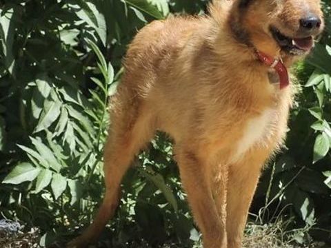 Rex 230 26700 Pierrelatte