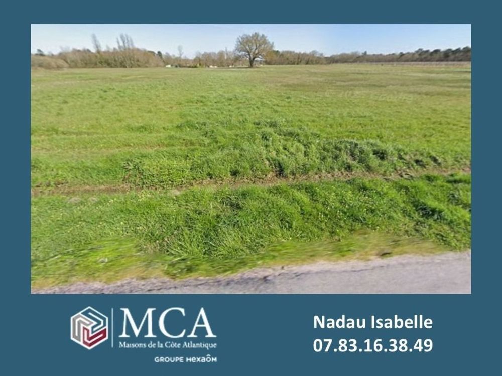 Maisons neuves   Saint-Vivien-de-Blaye (33920)