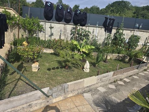 Recherche,belle et grosse tortue Herman femelle 77 200 77500 Chantereine