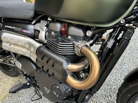 Moto TRIUMPH 2025 occasion Hacqueville 27150