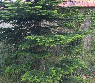  Appartement � louer 1 pi�ce 22 m�