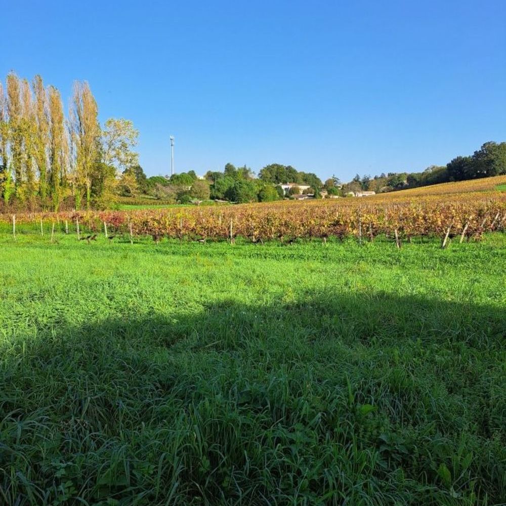 Maisons neuves   Lugon-et-l'�le-du-Carnay (33240)