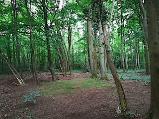  Terrain � louer 5000 m�