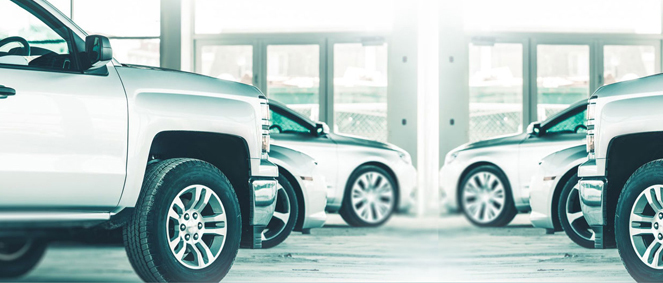 CARFORCE IMPORT, concessionnaire 81