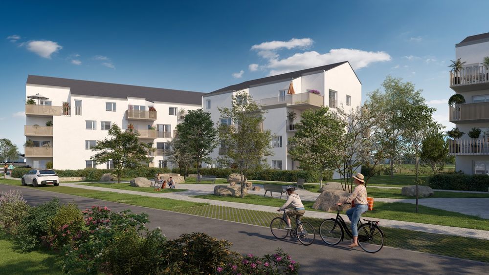 Appartements neufs   Roscoff (29680)