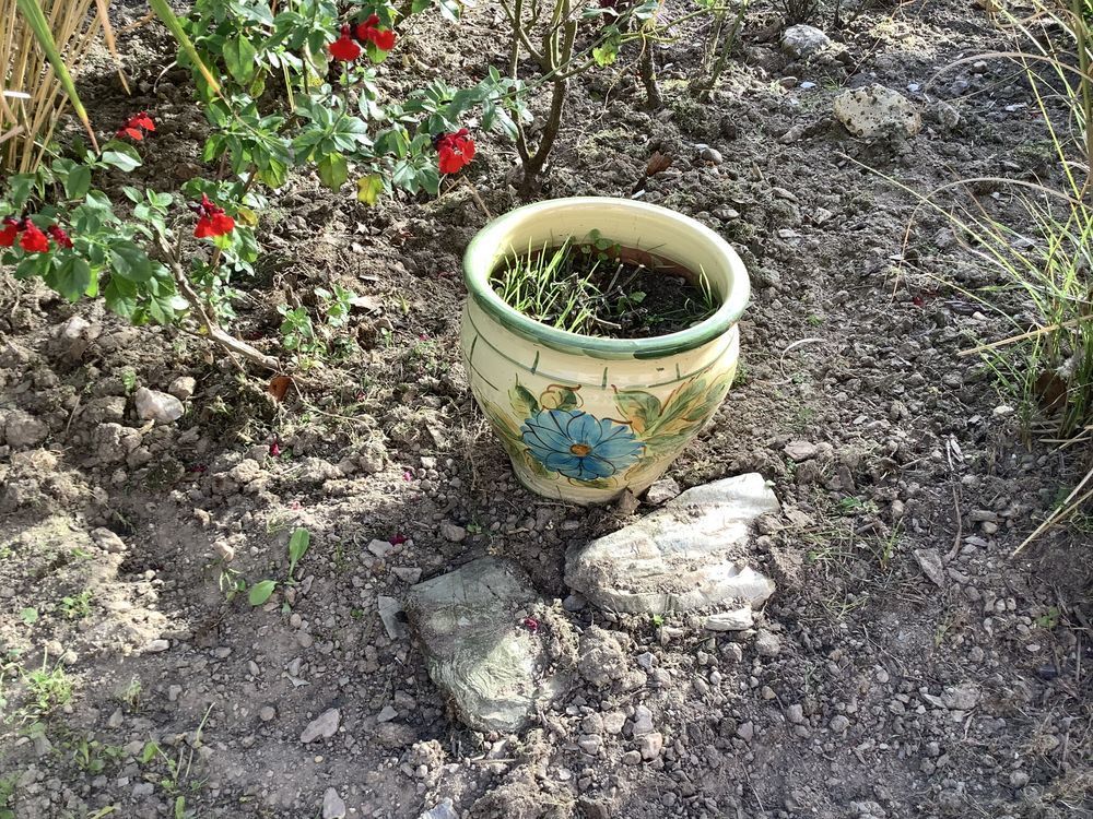 Pot fleur Jardin
